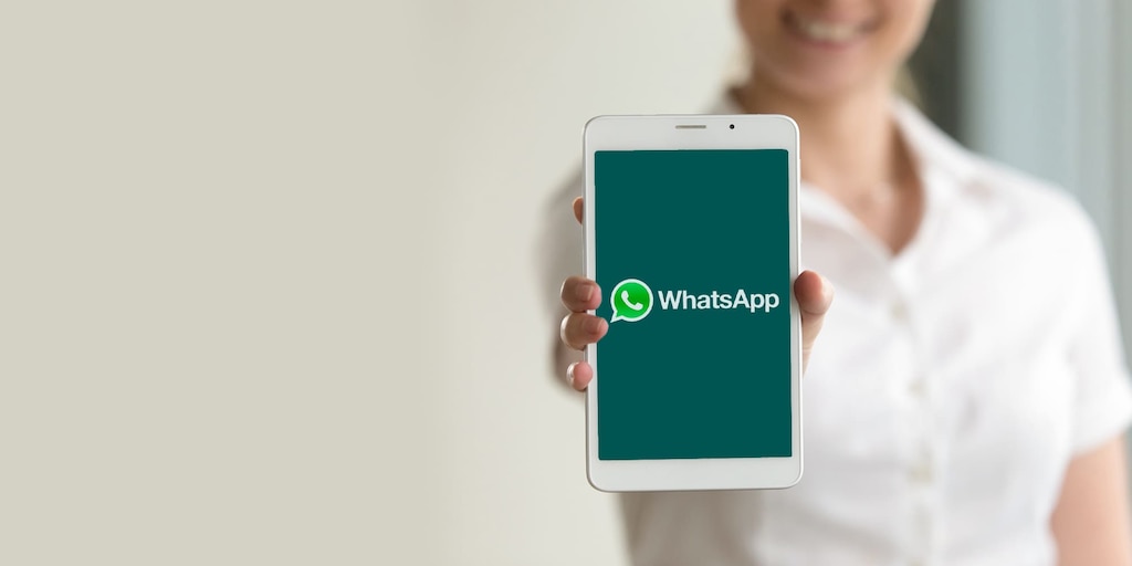 Contacto WhatsApp